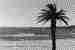 Afrika
